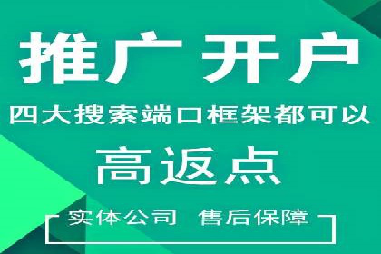 百度搜索推广实战经验：经典案例剖析